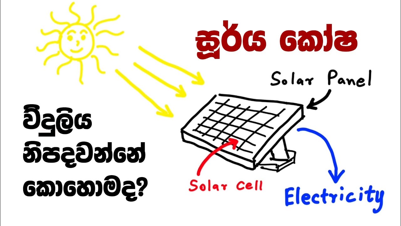 සූර්ය කෝෂයක ක්‍රියාකාරීත්වය | How does a solar cell works