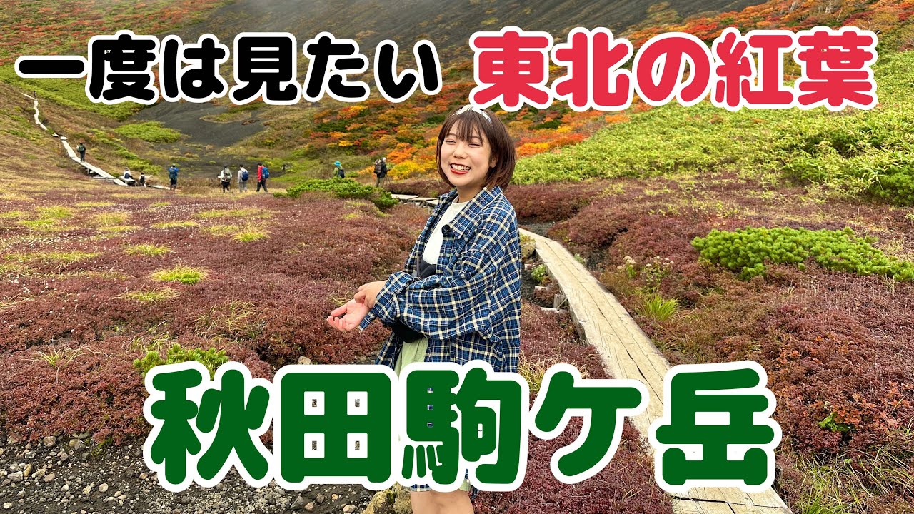 【秋田駒ケ岳・前編】まるで絵画の世界！紅葉が輝く秋田駒ケ岳へ。
