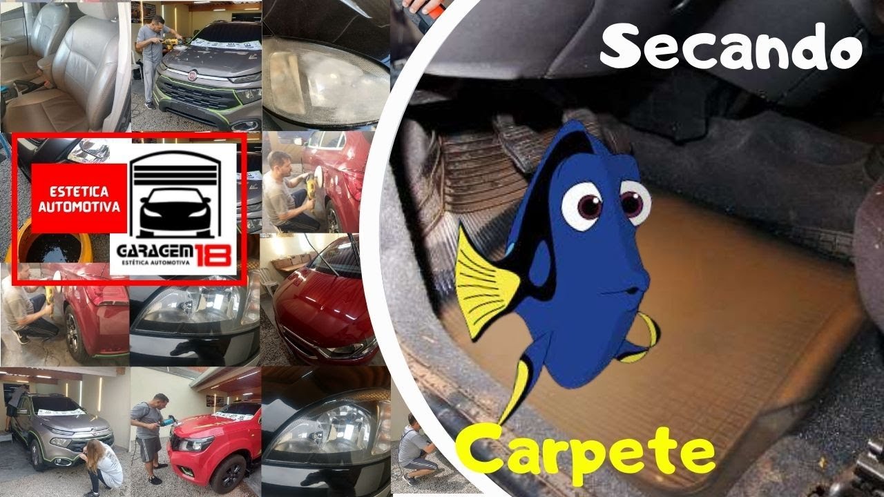 Como Secar o Carpete do Carro: Curso Estética Automotiva