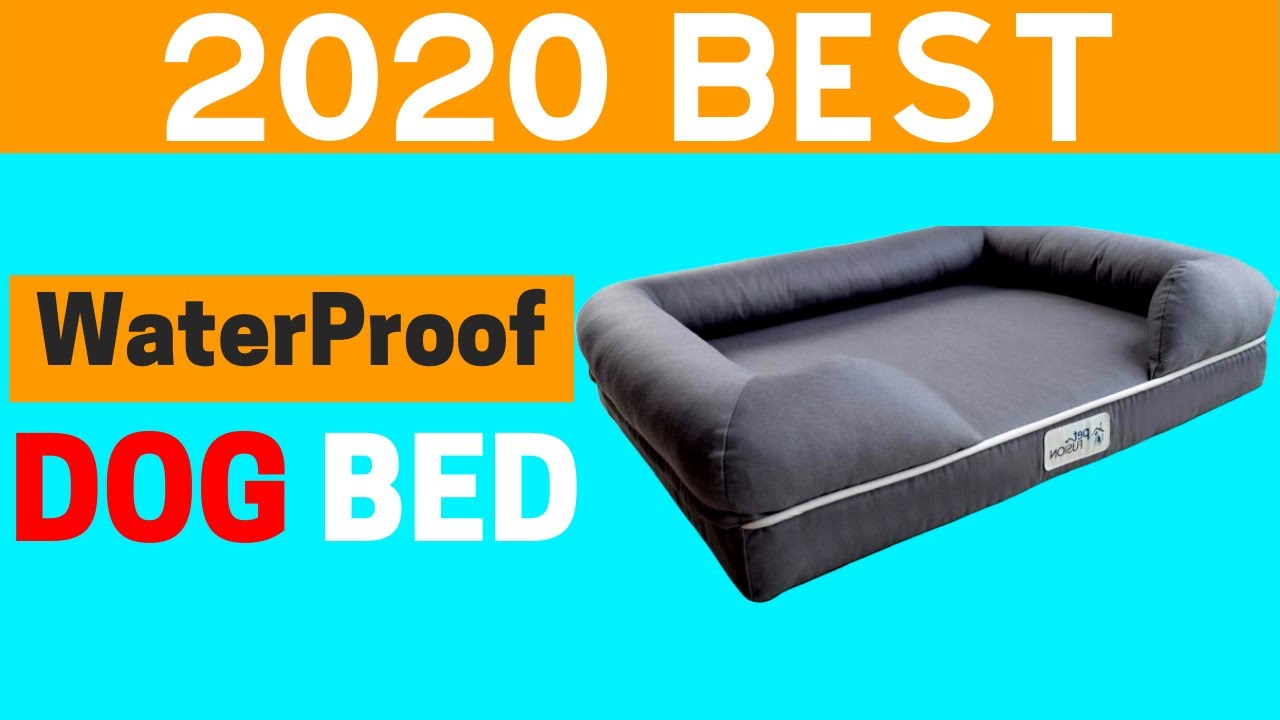 Best Waterproof Dog Bed 2020 | Waterproof Dog Bed Review