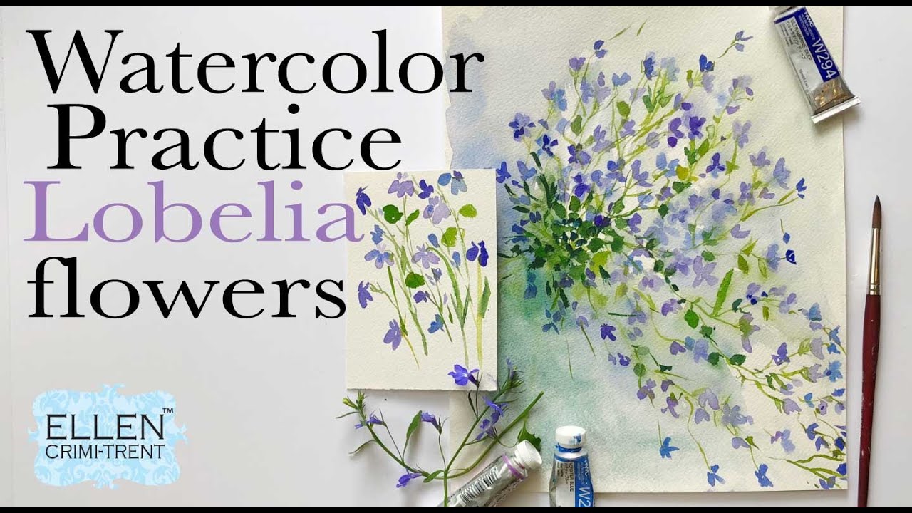 Watercolor Practice- Floral Friday - Lobelia- EASY step by step tutorial