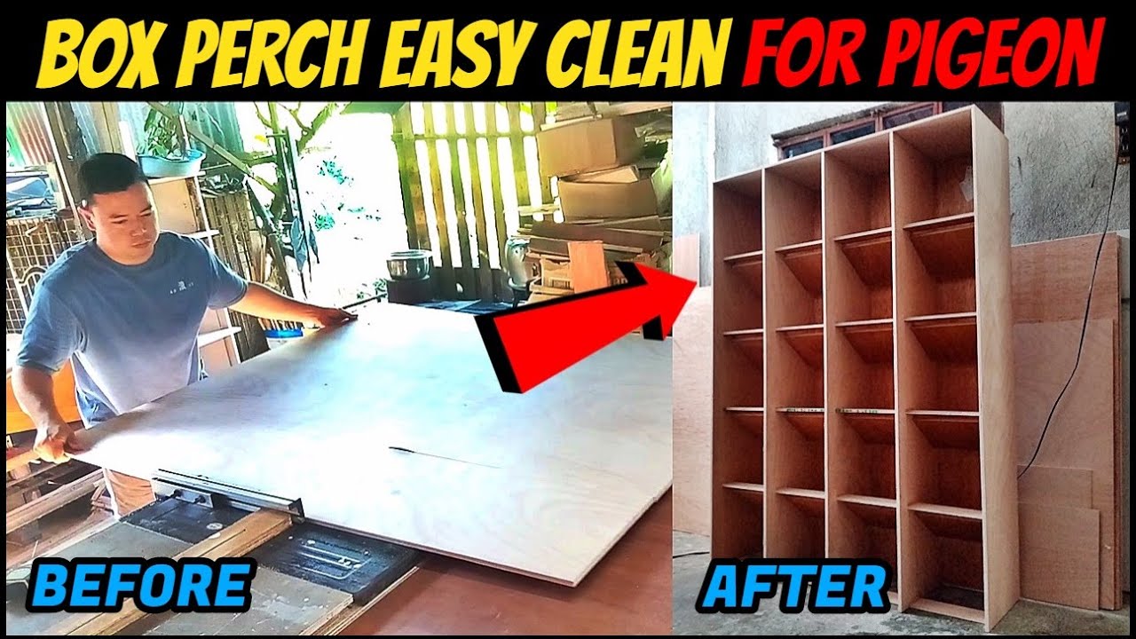 HOW TO MAKE BOX PERCHES EASY CLEAN DIY FOR PIGEON RACING