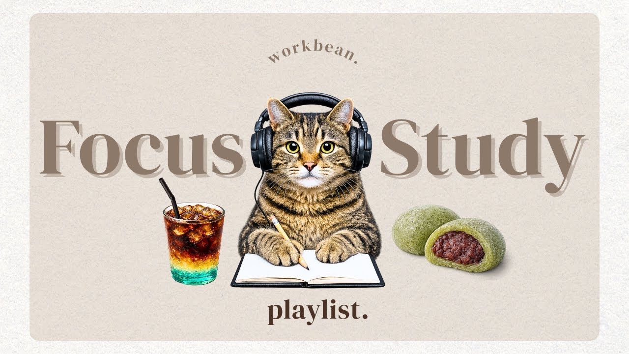 【4-Hour Focus Music】Lo-fi beats for deep focus, study & work | Learning time without pressure 🌿