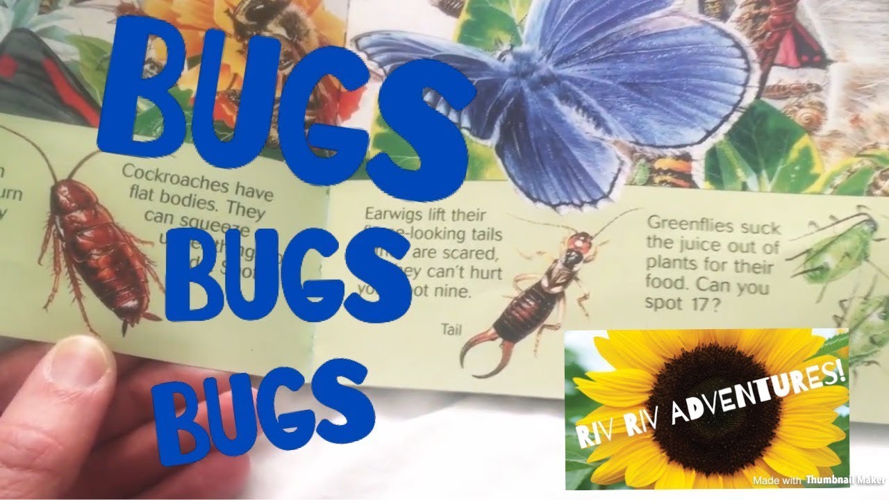 “The Big Bug Search” Story Time! 🦋🐌🐝🐞🕷