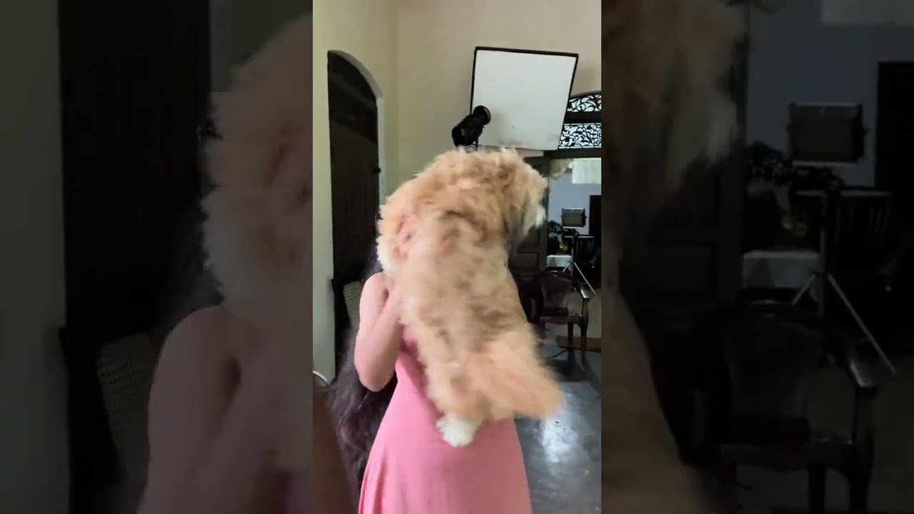 එයානම් හරිම උර්තල් ❤🤭 | ima weerasooriya jaanu #love #nisali #ima #jaanu #teledrama