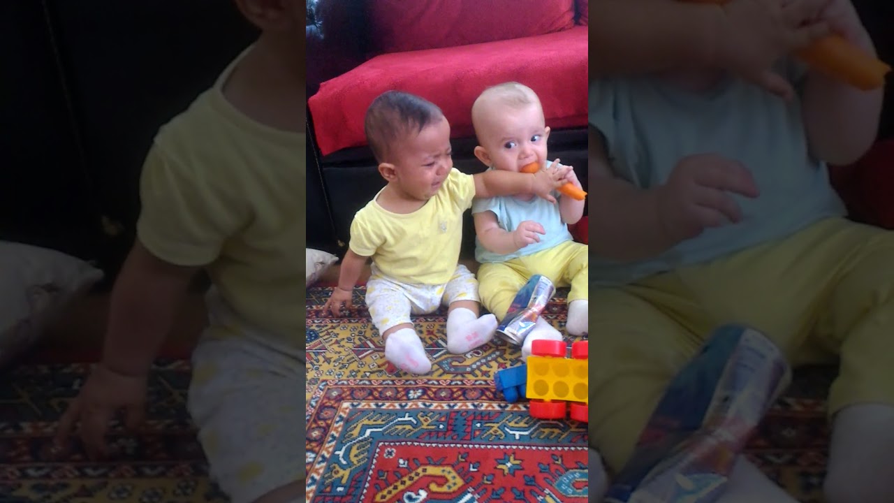 İkizlerin Havuç kavgası