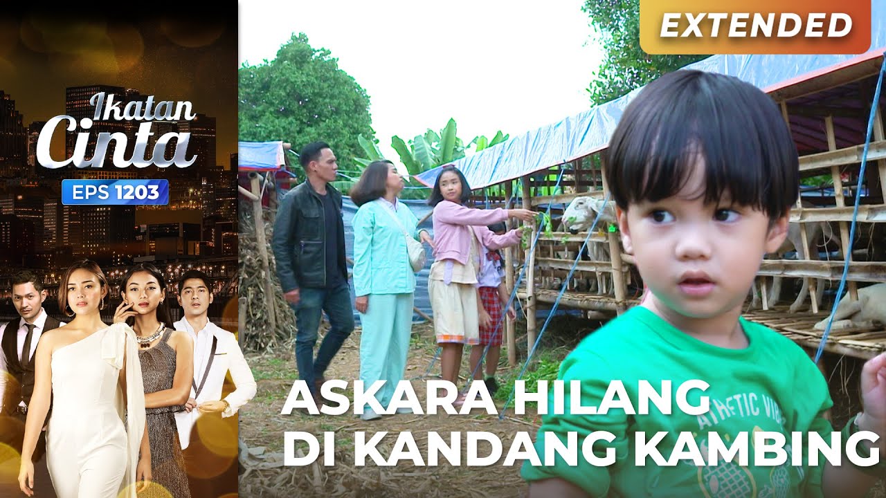 TERLALU ASIK!! Askara Menghilang Di Kandang Kambing | IKATAN CINTA | EPS.1203 (2/4)