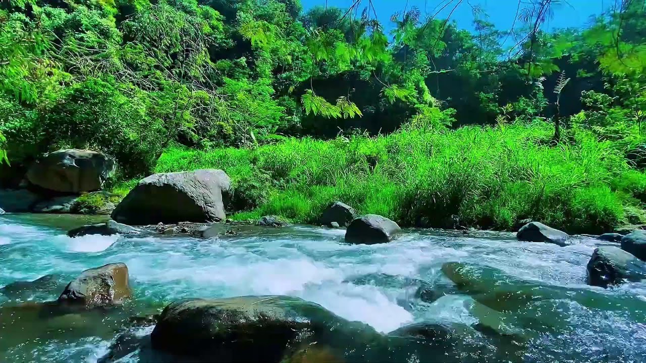 Forest River Water Noise, Mountain Stream Flow, Sleeping