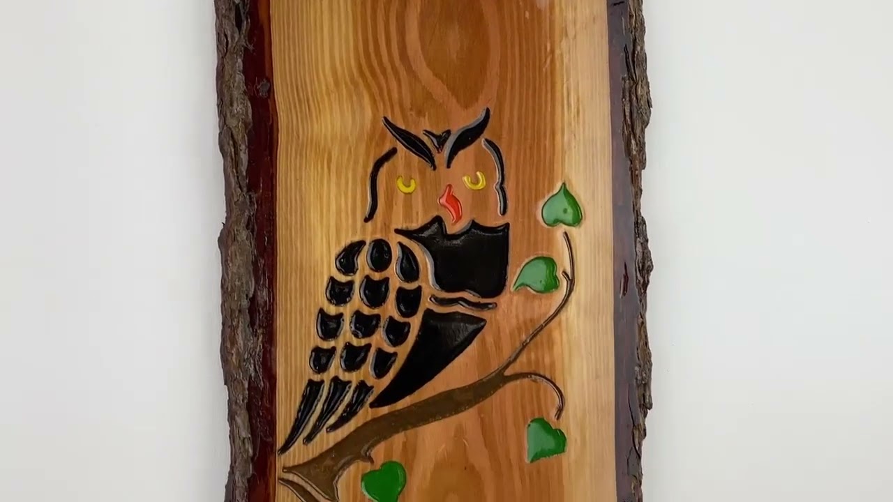 Unique Owl Resin Plaque Indoor Decoration