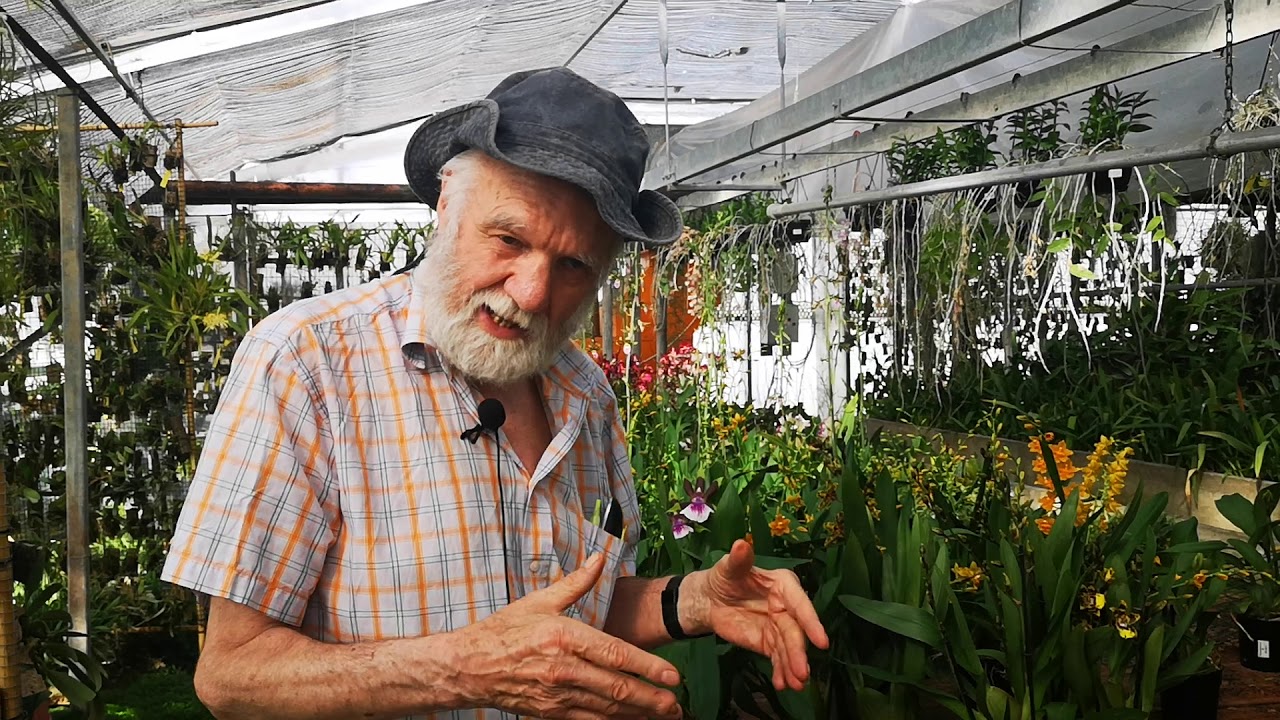 Il decamerone delle orchidee n° 54, come mi sono appassionato alle orchidee più di 50 anni fa