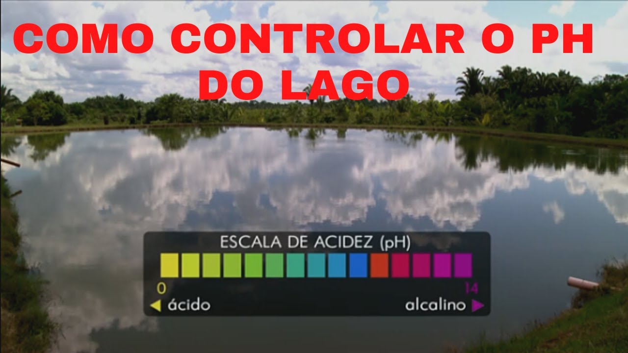 Especialista explica como diminuir acidez da &aacute;gua em cria&ccedil;&atilde;o de peixes  Globo Rural