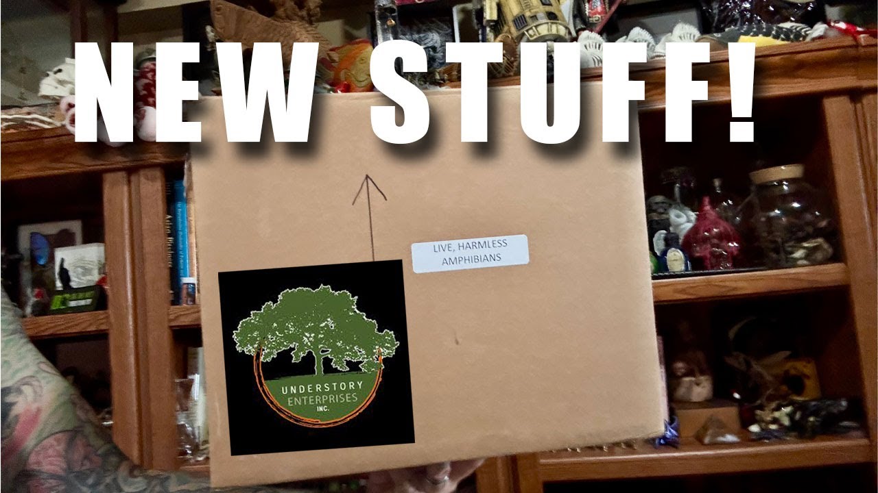 Unboxing a new shipment of Plants and Amphibians from Understory Enterprises