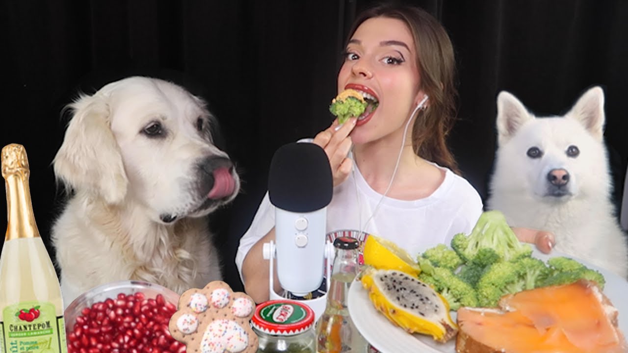 MUKBANG ASMR AVEC MES CHIENS