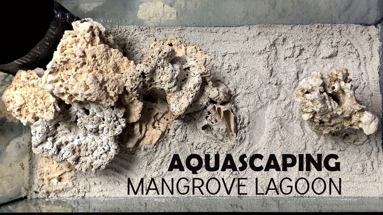 Mangrove Lagoon Reef Tank Build! | Getting to Water