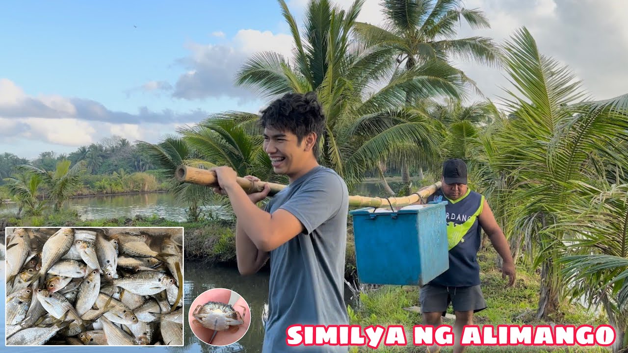 PAGBIBILANG AT PAGHUHULOG NG SIMILYA NG ALIMANGO SA PALAISDAAN