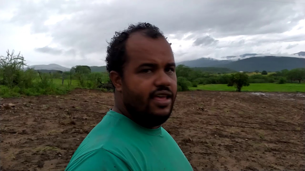 IRRIGAÇÃO EP05: MUDAS DE TIFTON 85, ESPAÇAMENTO E MUITA CHUVA