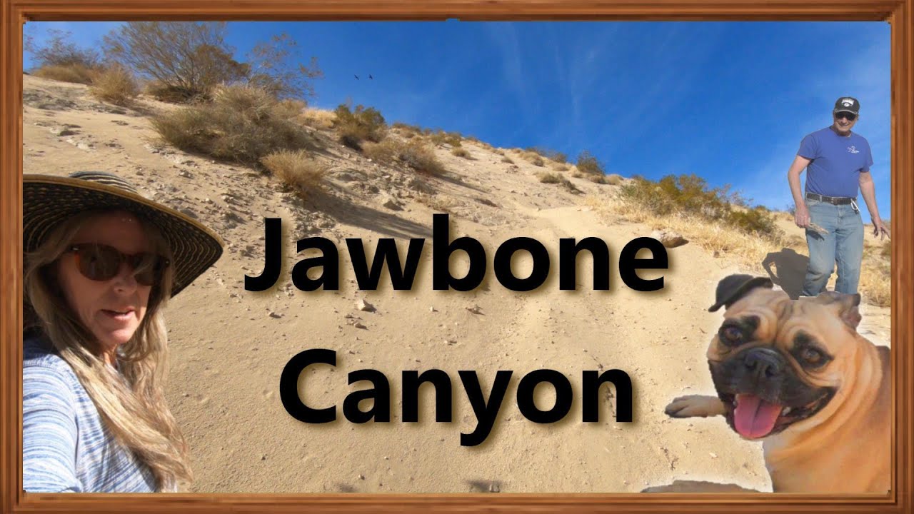 Jawbone Canyon -  What did we find? - Primitive Camping in California