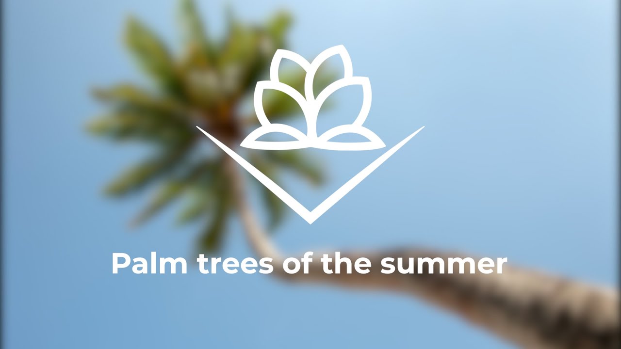 Palm Trees of the Summer| Relaxing and Meditating Music | Relaxing Pocket