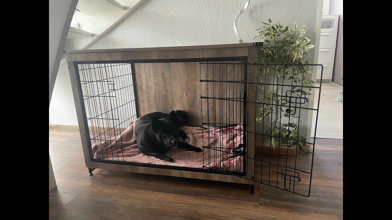 So habe ich Kuro an seine Box gewöhnt