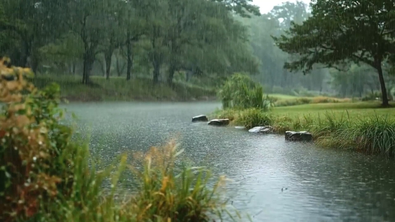 Relaxing Rain Sounds in River , Sleep, Relax, Meditation, Asmr, Real Shot