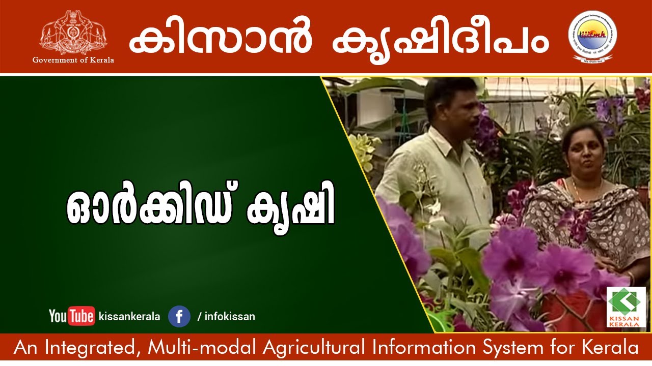 Orchid Cultivation - Thiruvananthapuram