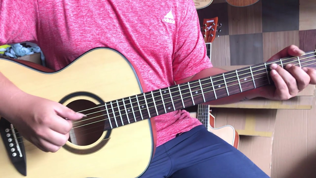 Cung cấp sỉ guitar Korea Gopherwood Gi&aacute; tốt nhất Việt Nam