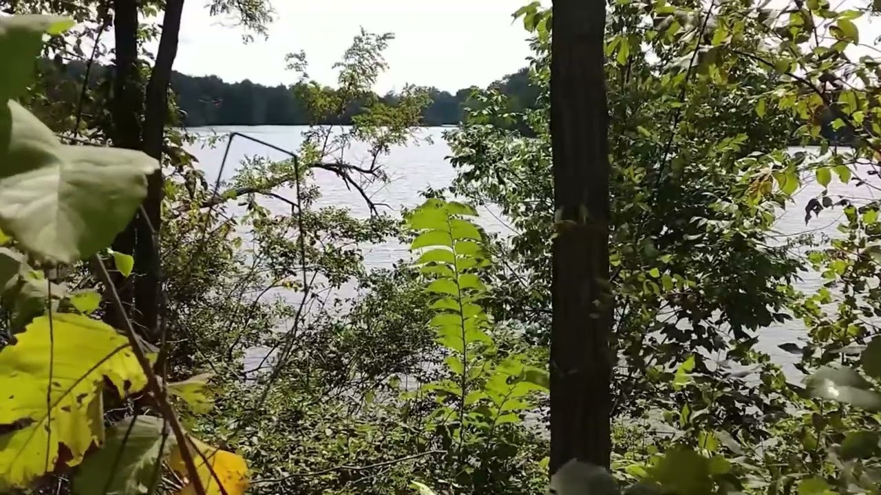 природа в деревне