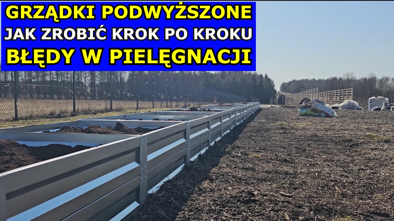 Grządki Podwyższone jak zrobić. Błędy w Pielęgnacji - Wyjałowiona Gleba po 2-3 latach. Krok po Kroku