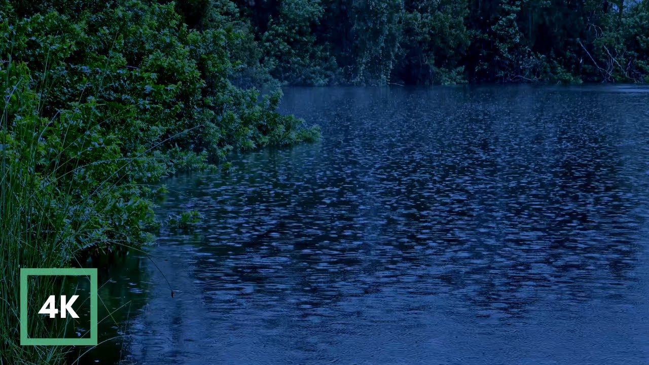 Gentle Rain on Lake to Sleep Fast | Dark Screen at 5 Minutes. Defeat Insomnia, Study, Relax 4K