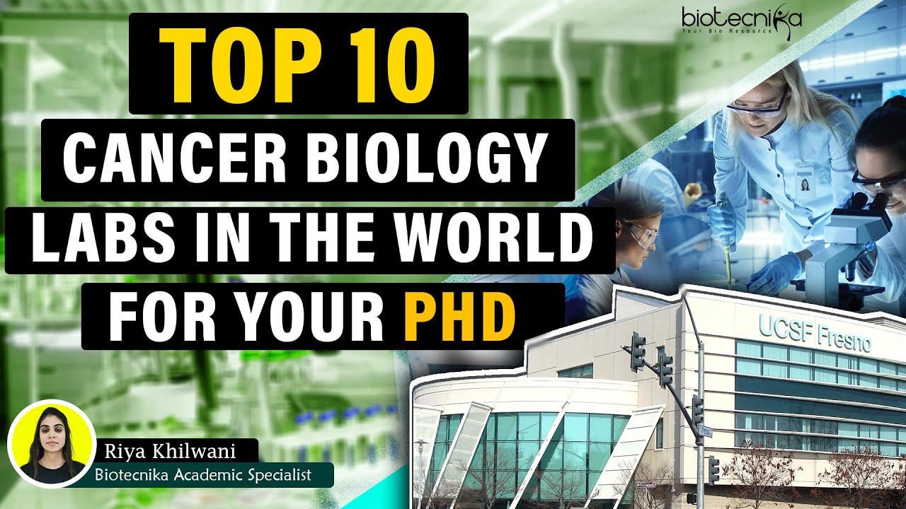 Top 10 Cancer Biology Labs In The World For Pursuing PhD