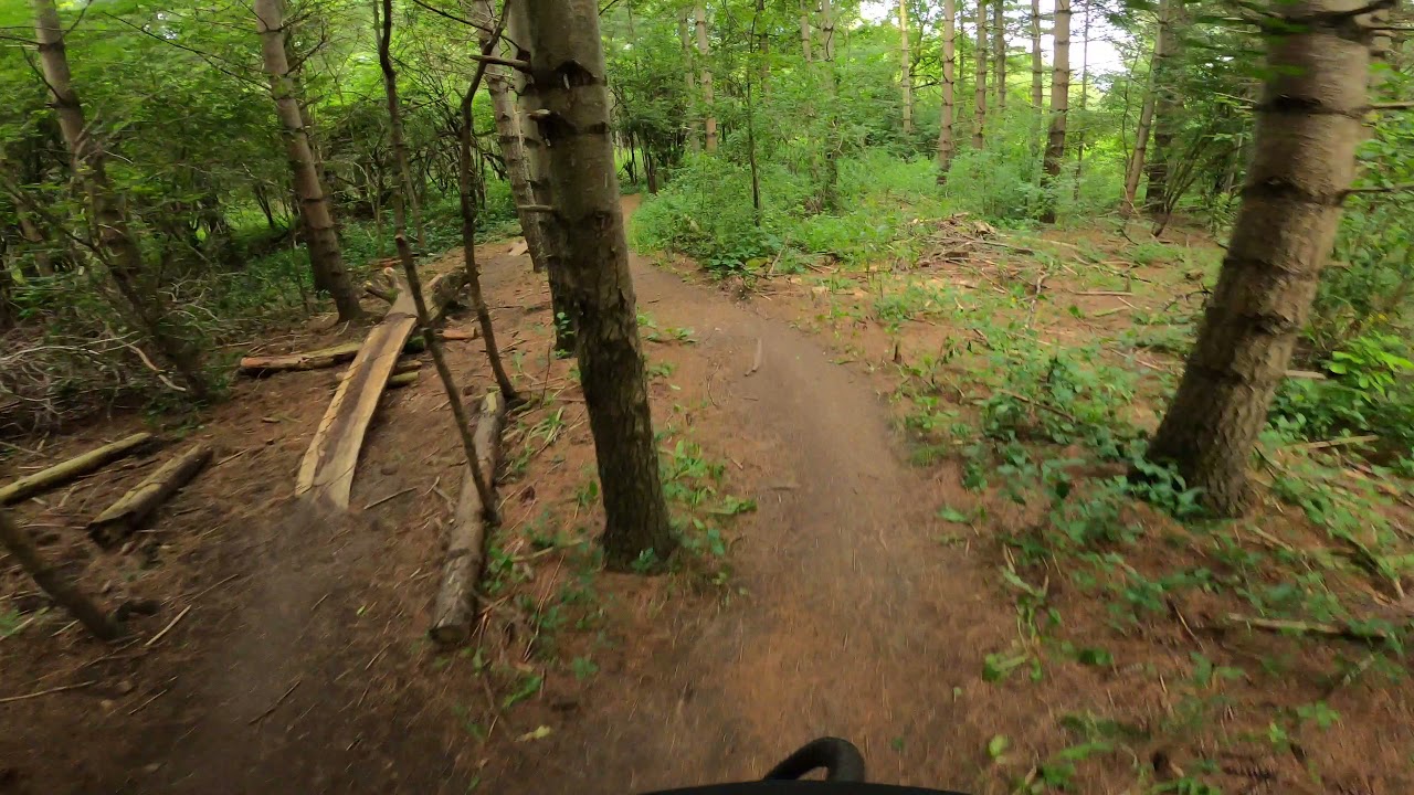 Devil's Backbone  | Guelph Lake GORBA Trails | MTB
