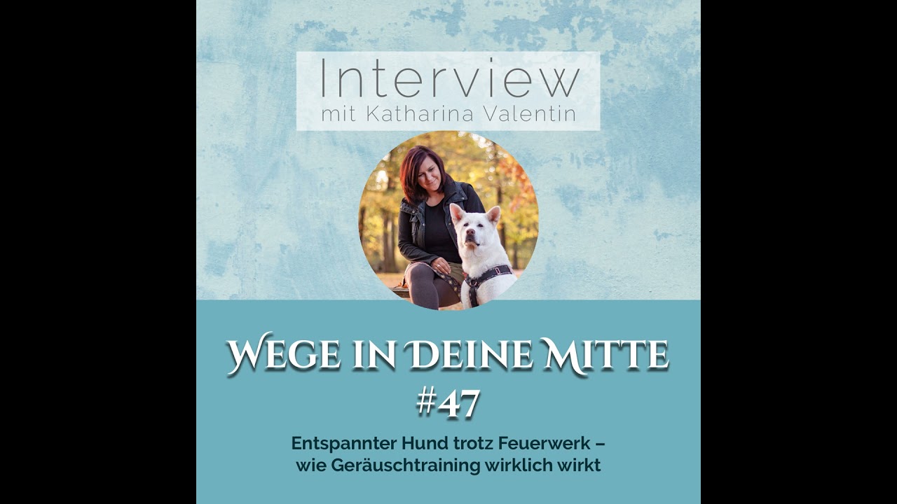 Entspannter Hund trotz Feuerwerk – wie Geräuschtraining wirklich wirkt (Episode 47)