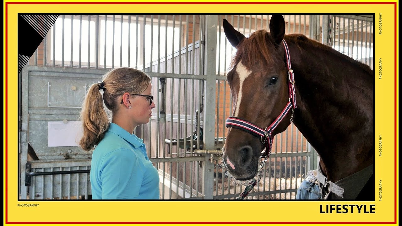 #Hengstparade 2018 im  Celler Landgestüt - 1.Teil / Im Blickwinkel der Kamera - Stallion parade 2018