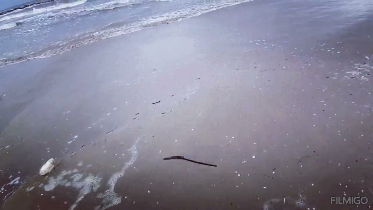 Spiaggia di Viserbella 11 settembre 2024