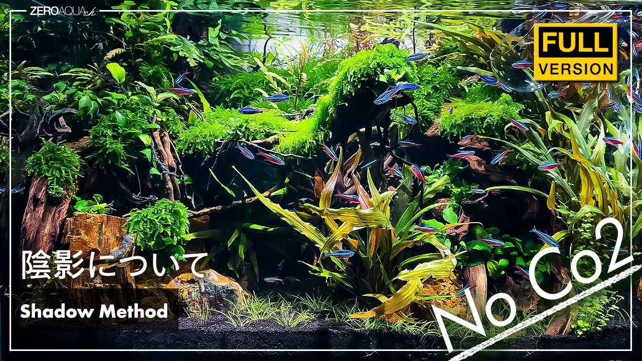 水草レイアウトにおける「陰影」について　/アクアリウム/aquarium/aquascape/60cm/vlog/