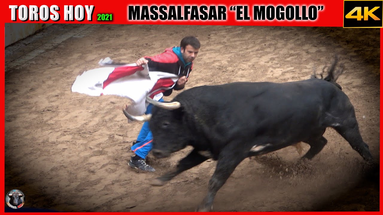 MASSALFASSAR TOROS PE&Ntilde;A EL MOGOLLO ✅❤️ TOROS TV