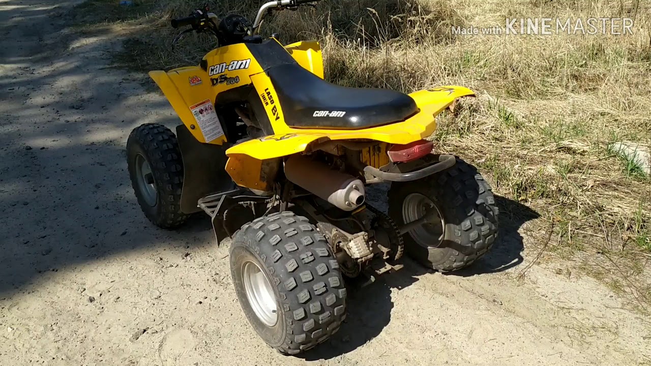 Прогулка по лесу на BRP DS 250 CAN-AM ( Встретили MOTOLAND WRX 250 PIT)