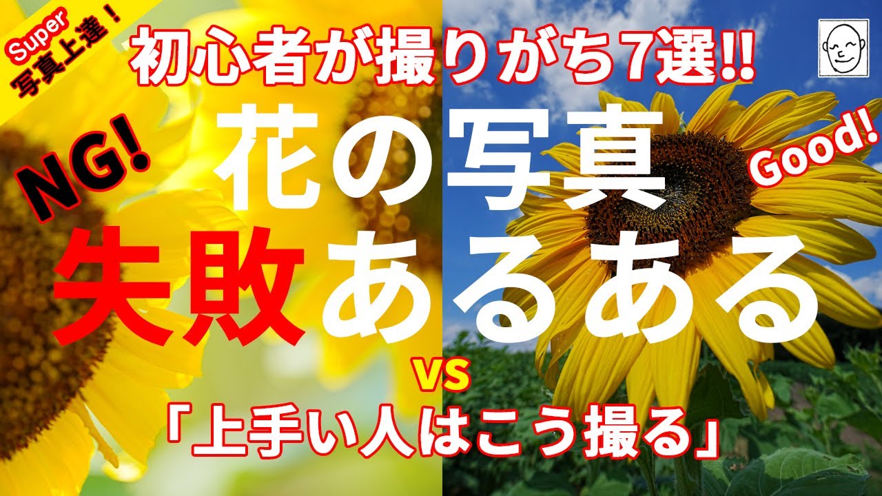 【比較検証】写真初心者やりがち!! 花の写真 失敗あるある7選！vs 上手い人はこう撮る!!