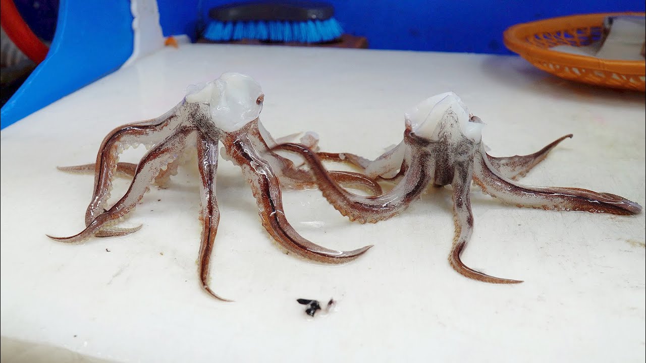 SUB)춤추는 오징어회 / Dancing Squid Sashimi [Korean street food]