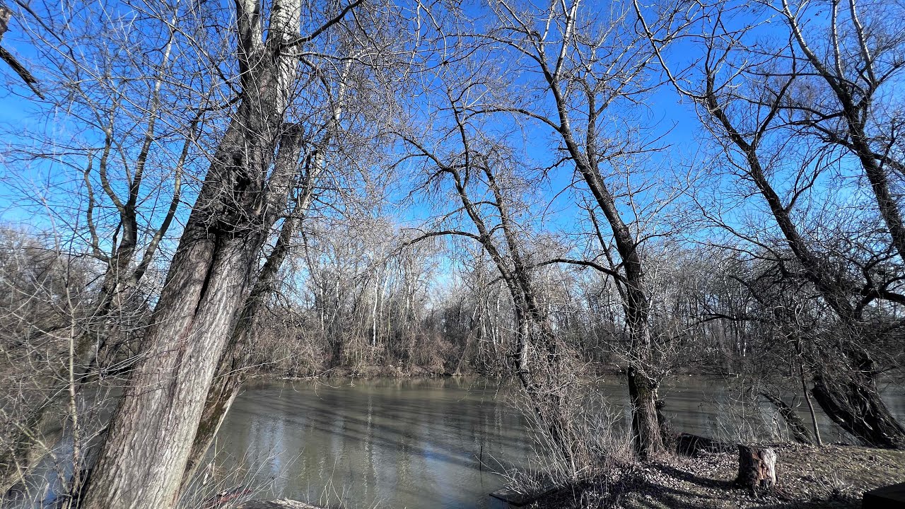 Green Hot Friday/Happy Stream\Thanks #happiness #walking #garden #positivemovement #moodboost 