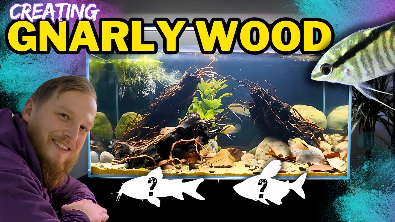 How to create a wild looking Amazon aquarium! Aquascape tutorial.