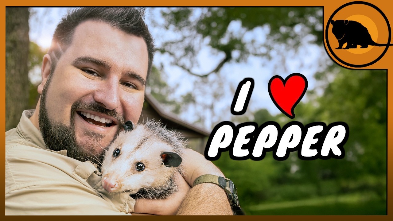 Yapping about Possums for 14 minutes