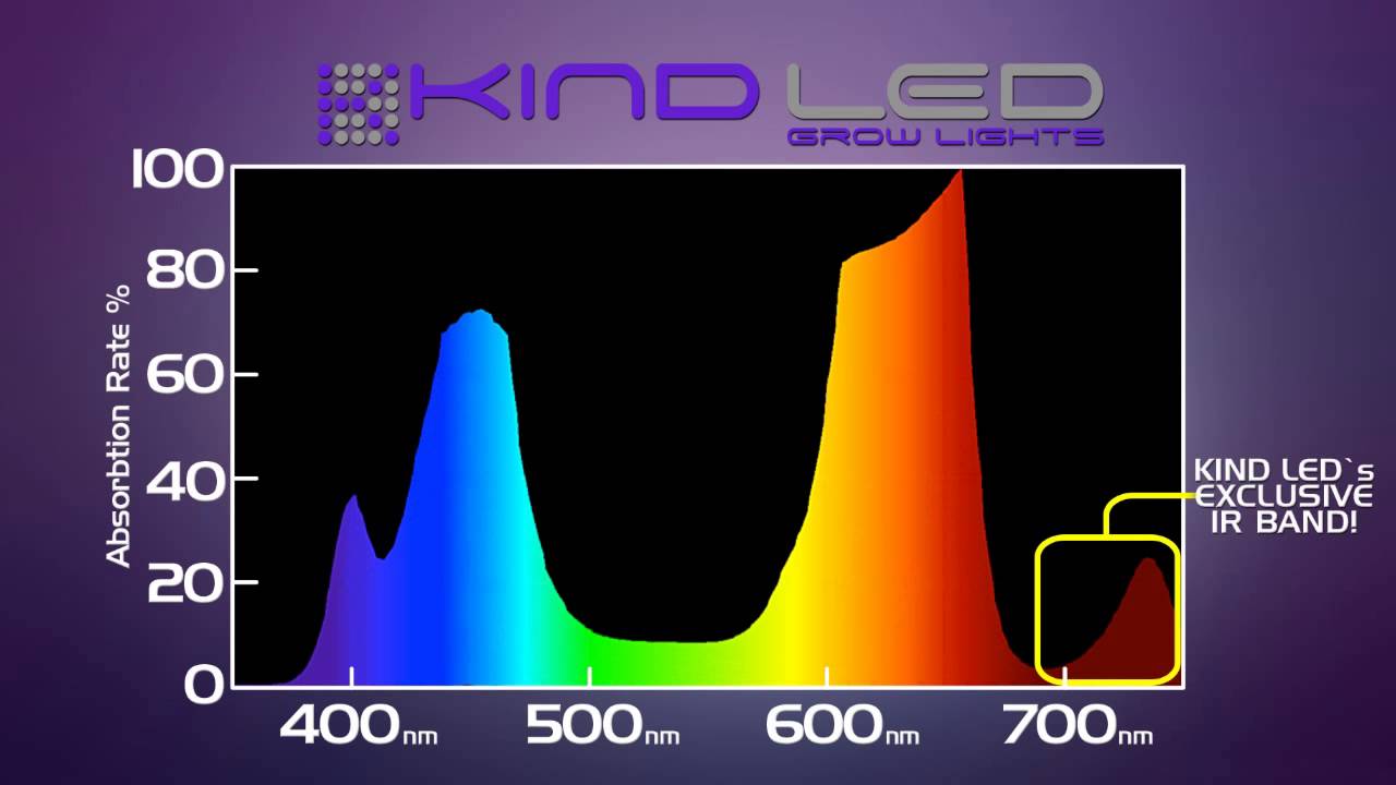 BML LED vs. Kind LED | LED Grow Light Challenge!