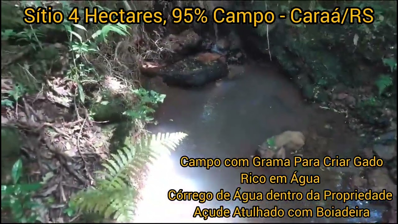 Cód 063 - Sítio 4 Hectares 95% Campo em Caraá/RS