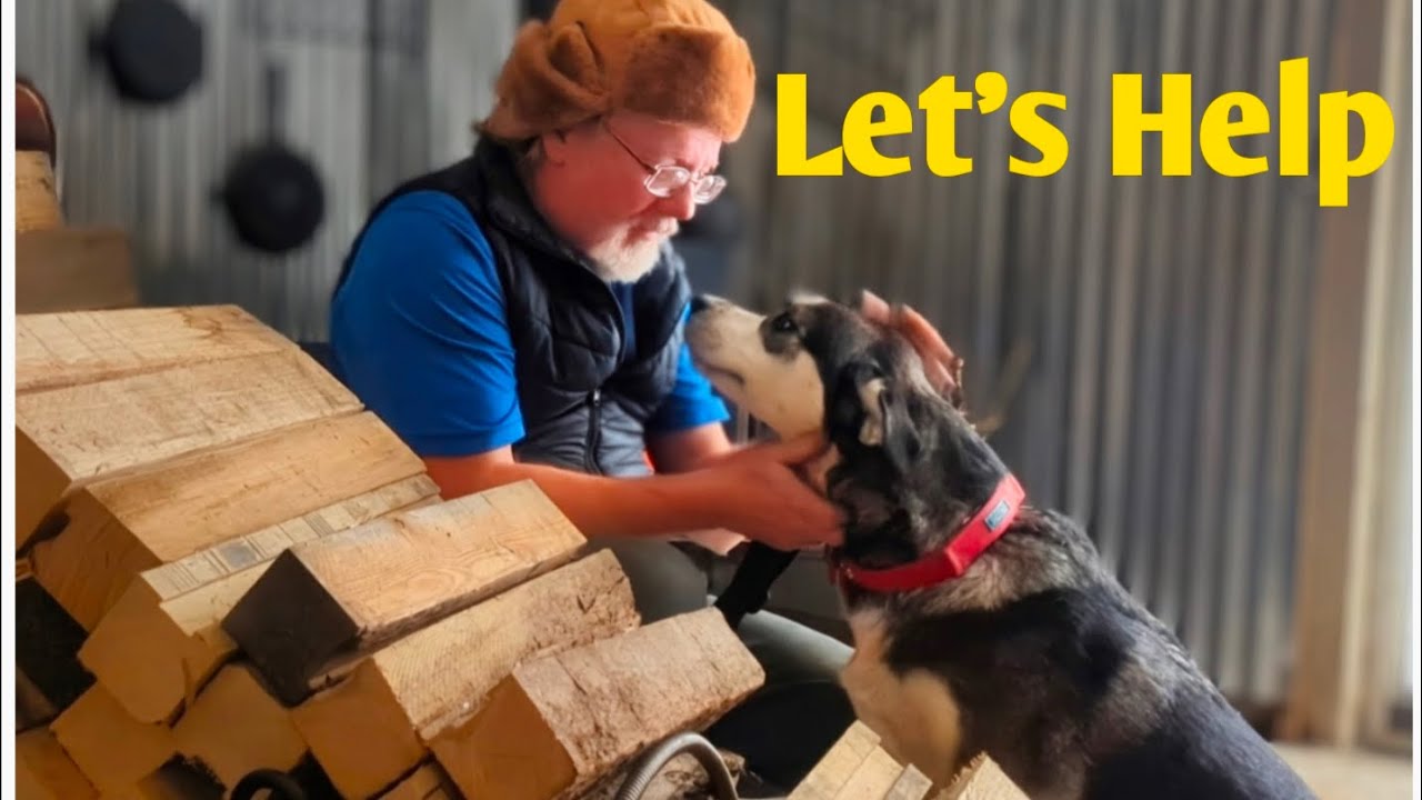 Tips For Missing Dogs