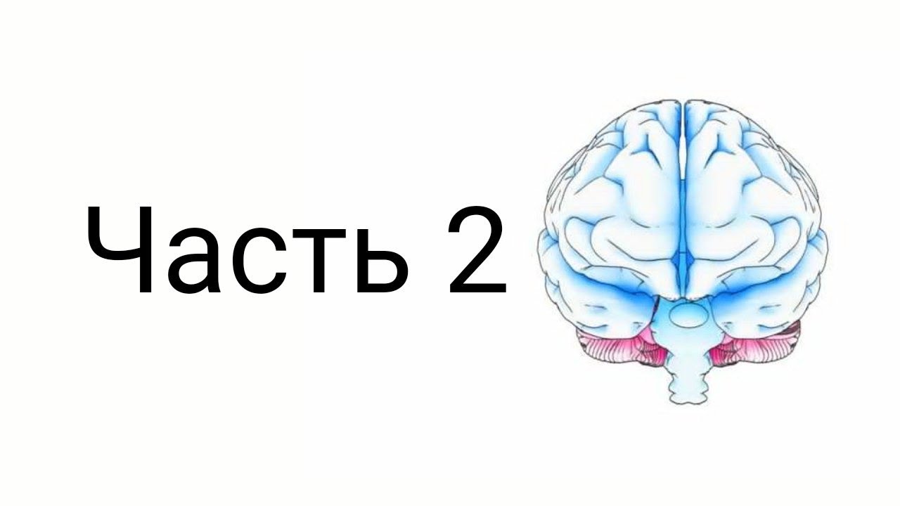Логика. Глава 1. Понятие (1.1)