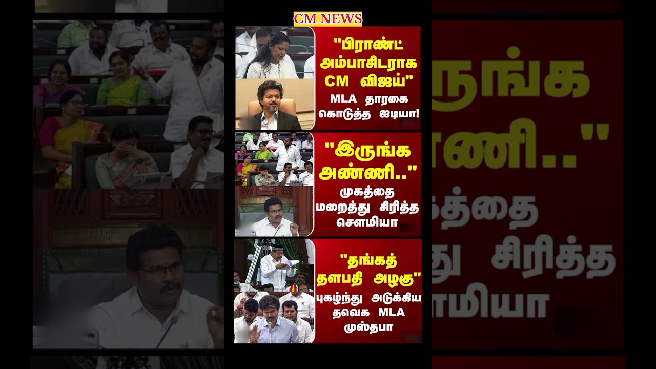 TVK Thalapathy vijay anna || #tvk#dmk#admk#congress#bjp#breakingnews#news#thalapathy#vijay#cjp