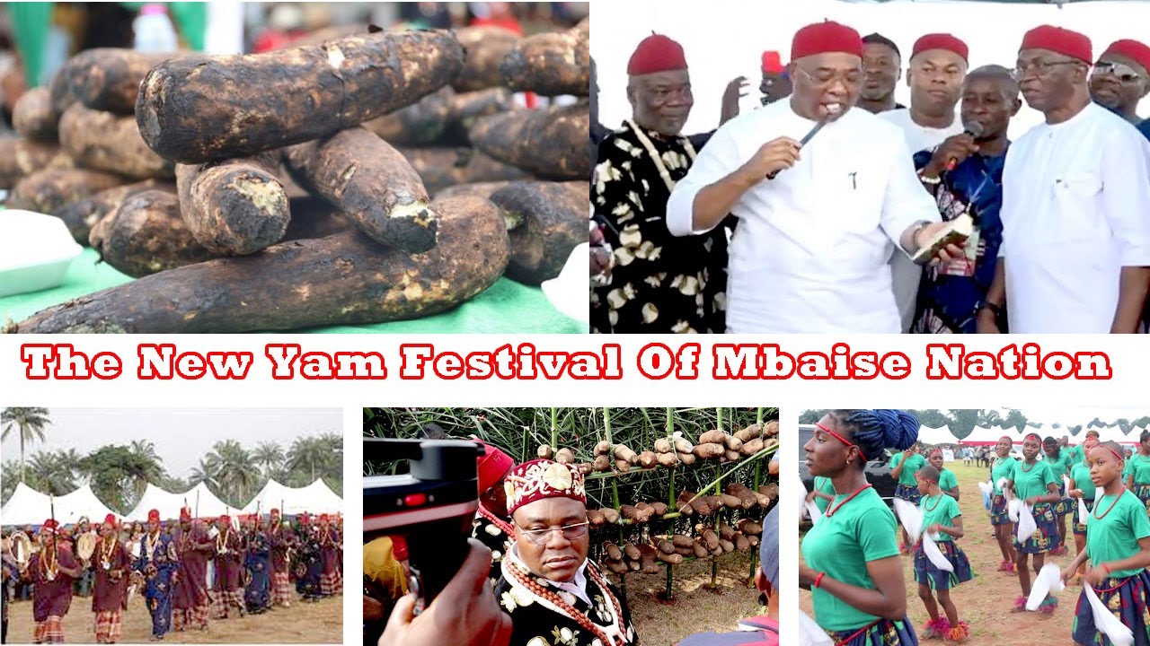Just In : New Yam Festival In Imo State - The 2023 Iri Ji  Mbaise Cultural Festival
