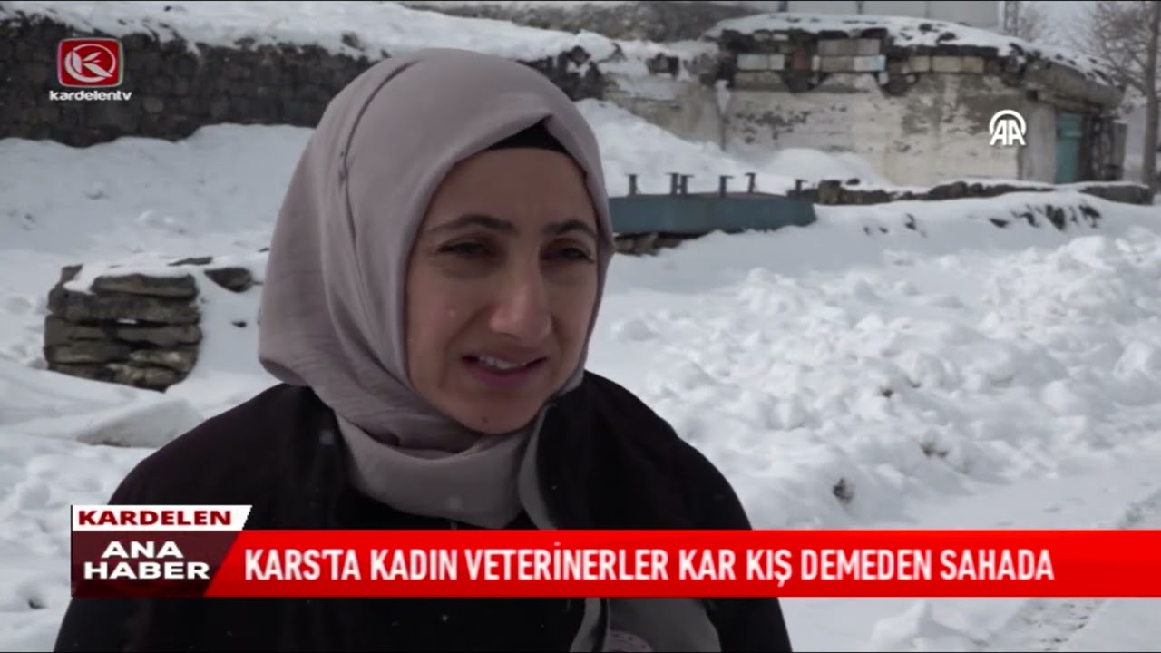 KARS’TA KADIN VETERİNERLER KAR KIŞ DEMEDEN SAHADA