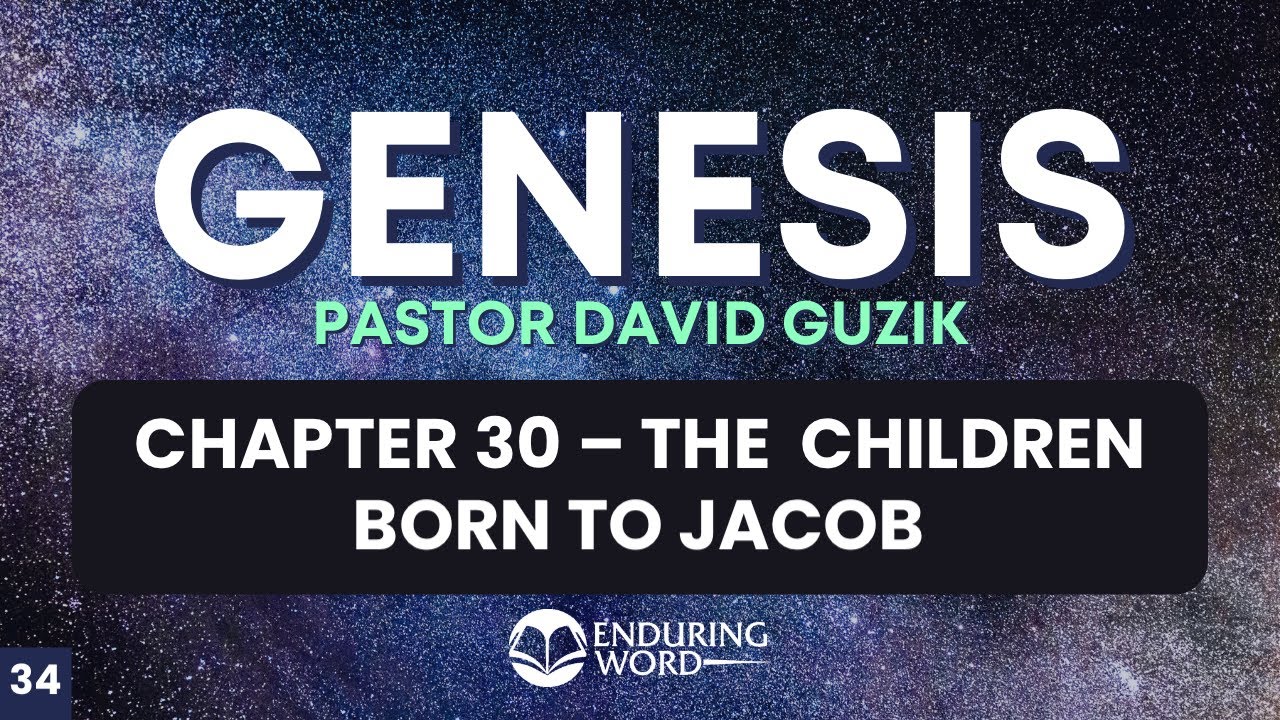 The Children Born To Jacob – Genesis 30